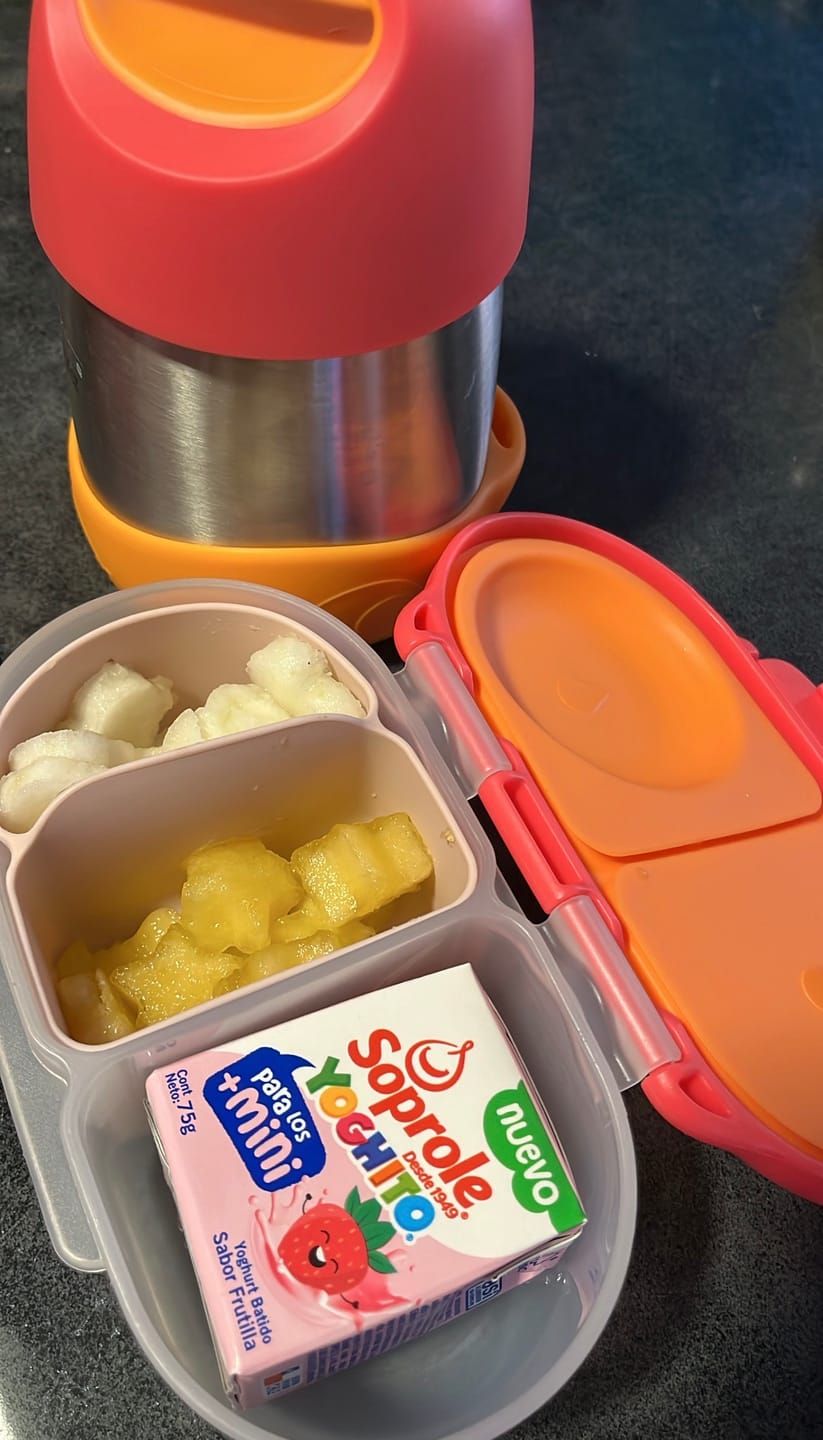 Customer photo review of Snack Bento Buddy para Snackbox b.box
