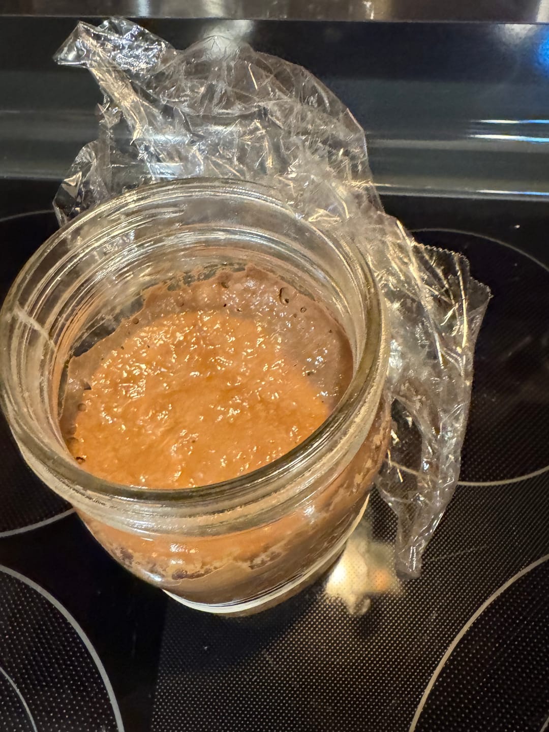 Customer photo review of Live 119 Year Old Valrhona CHOCOLATE Sourdough Starter Includes Maintenance PDF & Chocolate Noir Loaf Recipe