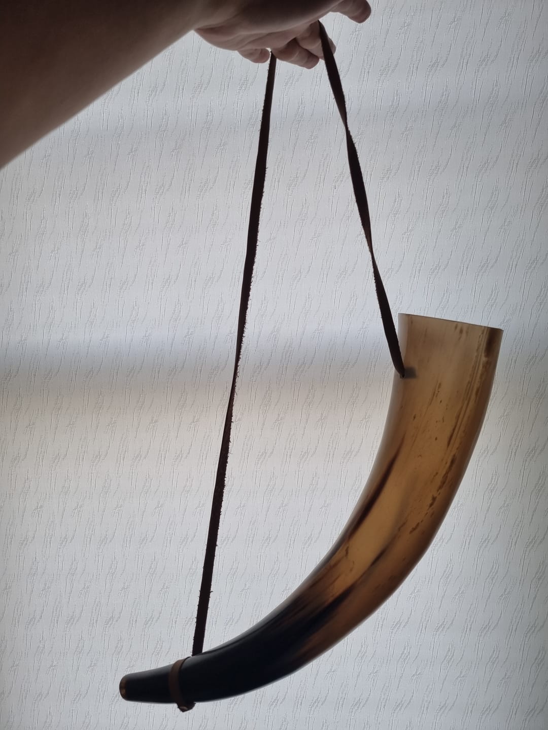 Customer photo review of War Horn - Extra Large