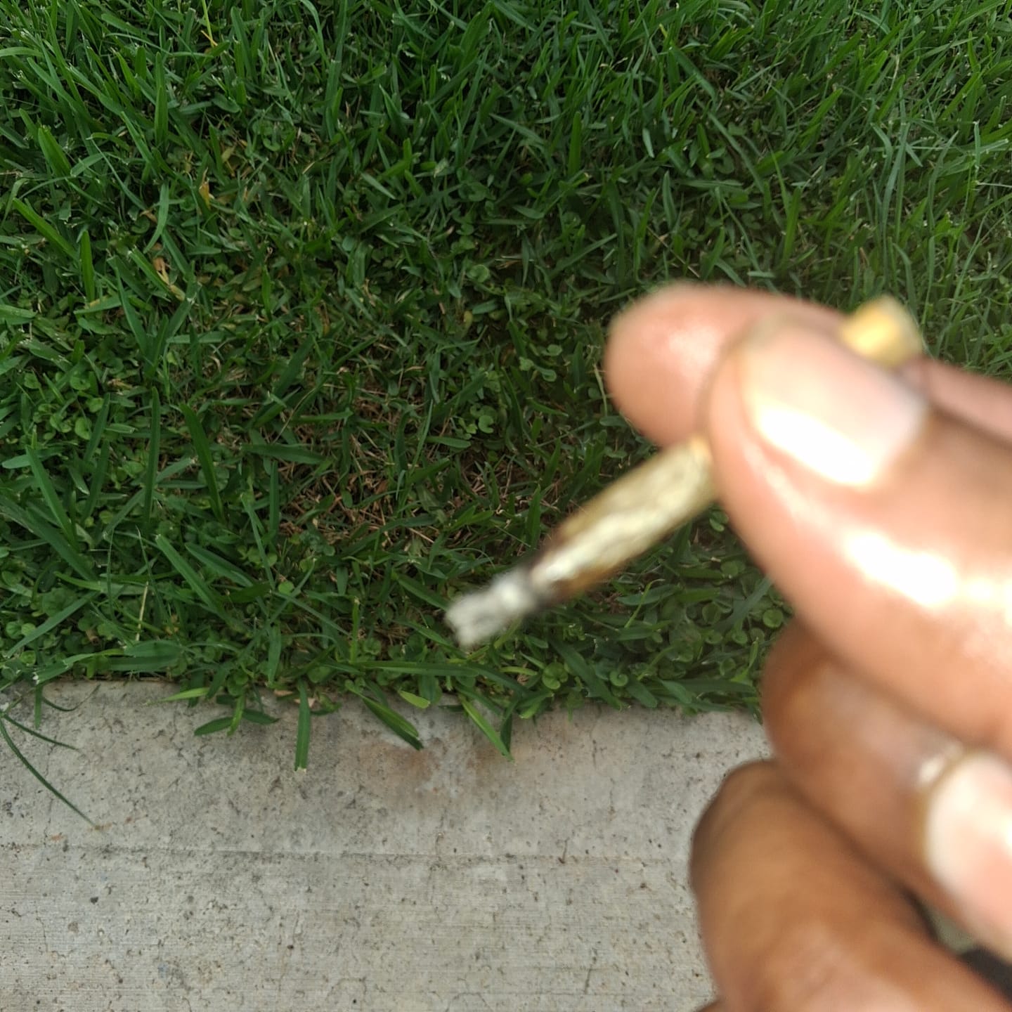 Customer photo review of Jet Fuel Gelato - Minis - 28 Grams - Indica