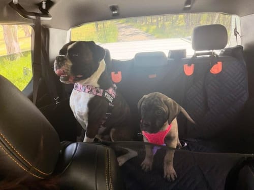 Customer photo review of Marlo&Co™ Adventure Bundle