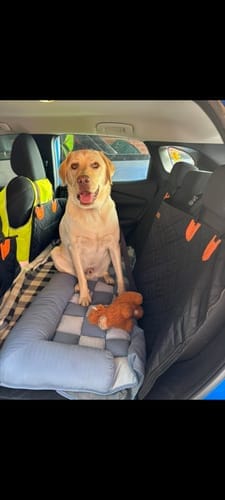 Customer photo review of Marlo&Co™ Adventure Bundle