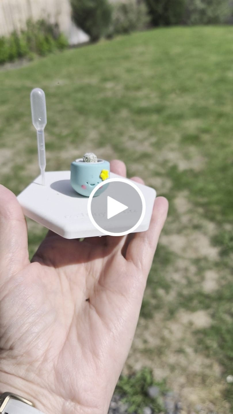 Customer video review of Tiny Mama Special Edition: Daisy Mama