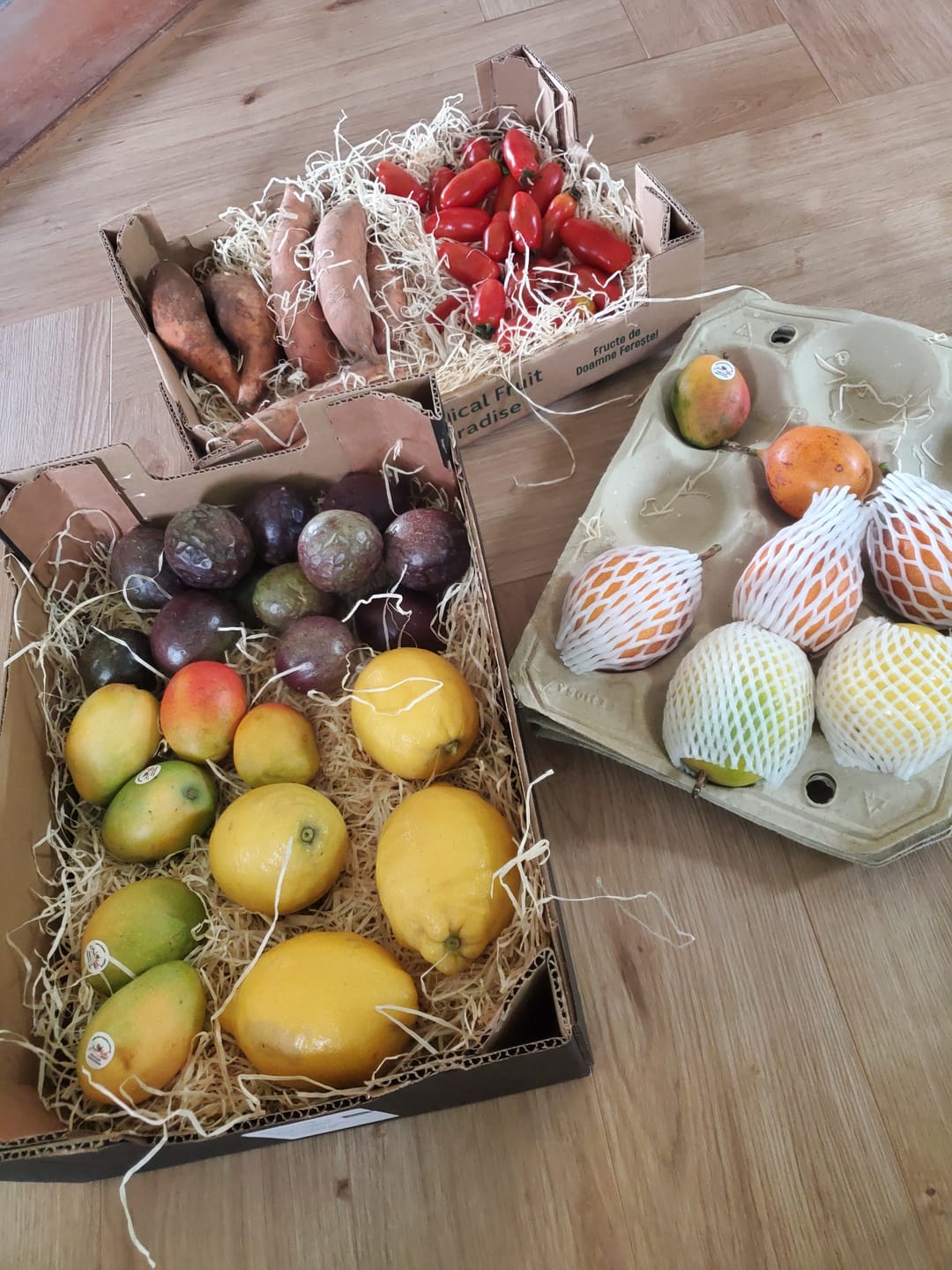 Customer photo review of Ätna Zitronen Bio von Andrea aus Sizilien