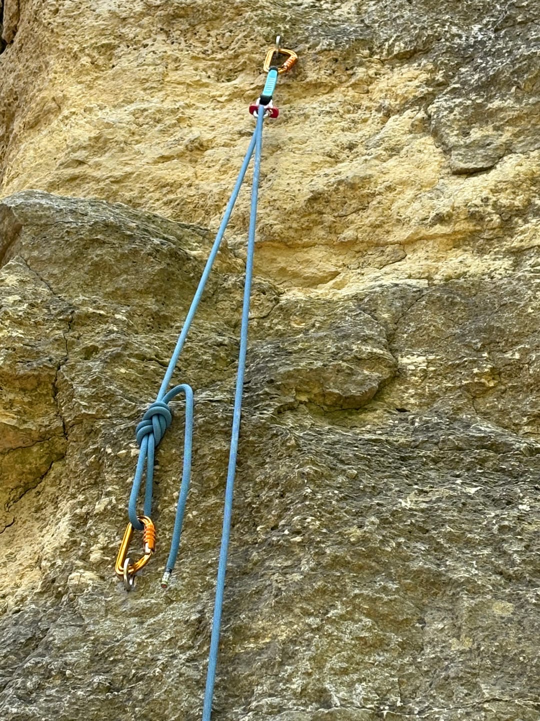 Customer photo review of Slide-Cinch Lead Rope Solo Anchor Tensioner