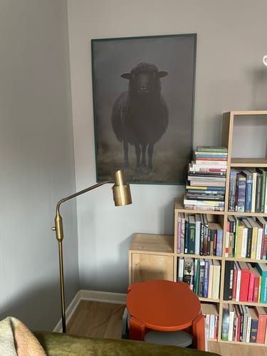 Customer photo review of Black Sheep Print