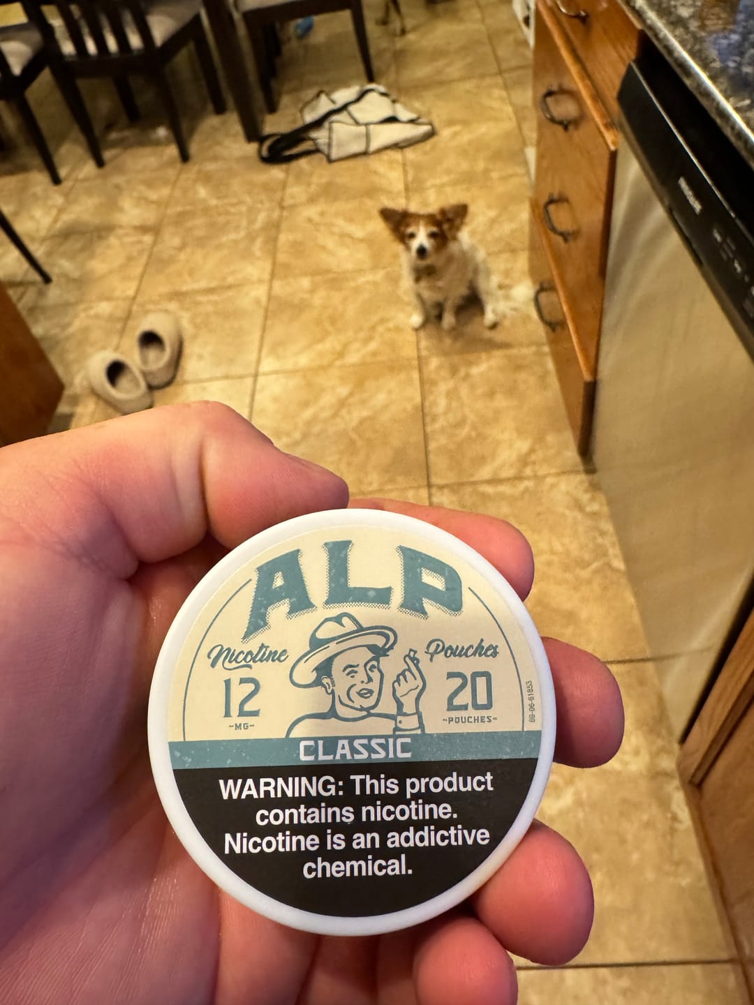 Customer photo review of Classic Nicotine Pouches