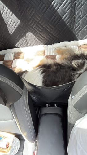 Customer photo review of Marlo&Co™ Adventure Bundle