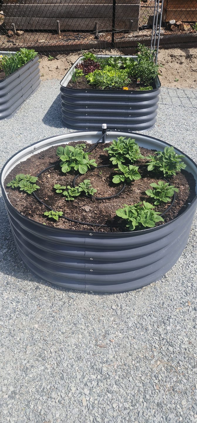 Customer photo review of 17” Tall Large Round