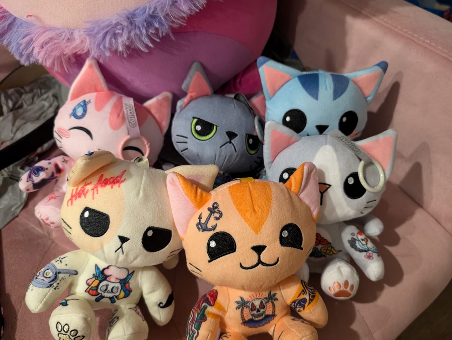 Customer photo review of Cattoos Plush Pendant Blind Box