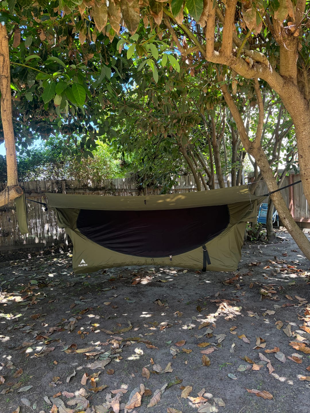 Customer photo review of Haven Safari