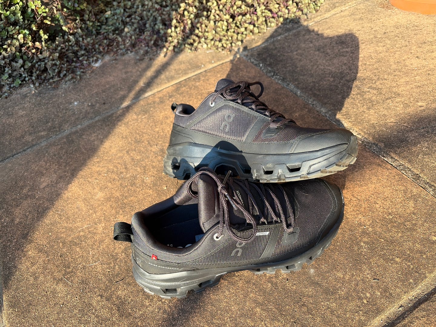 Customer photo review of Cloudrock Low WP (M)
