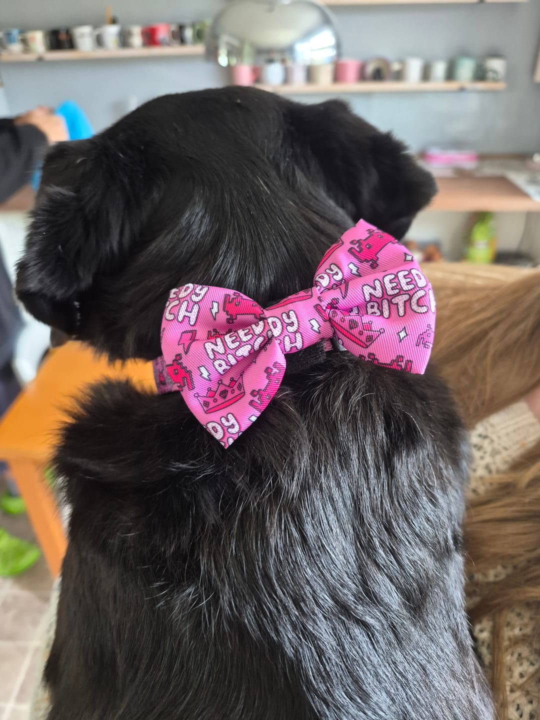 Customer photo review of Needy bi**h collar