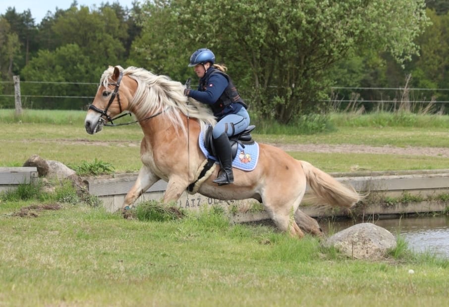 Customer photo review of Reitleggings Pilot V2