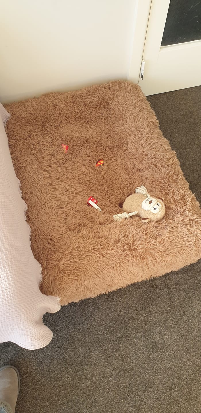 Customer photo review of Orthopaedic Memory Foam Bed
