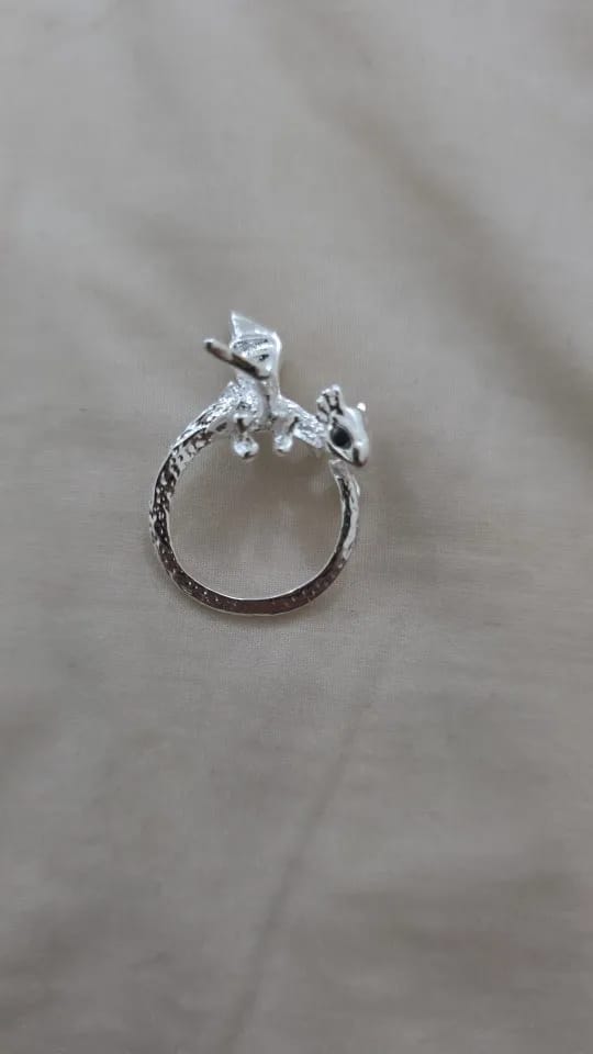Customer photo review of Adjustable Toothless & Light Fury Ring