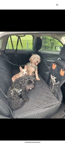Customer photo review of Marlo&Co™ Adventure Bundle