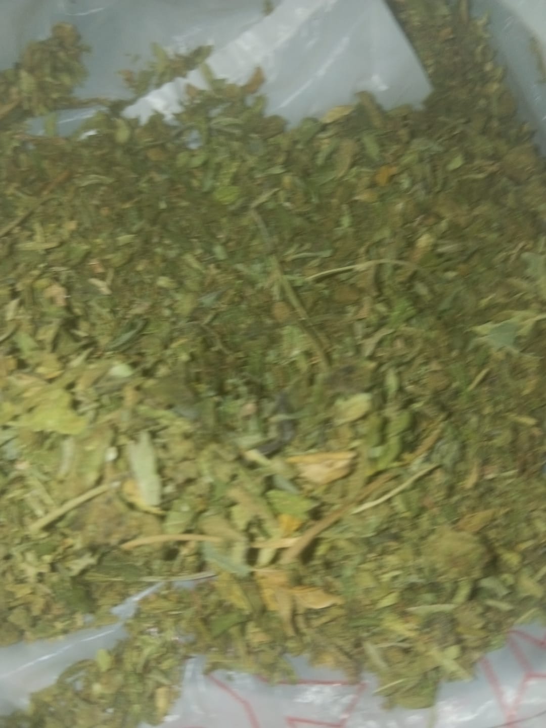 Customer photo review of Cheap THCA Flower Trim