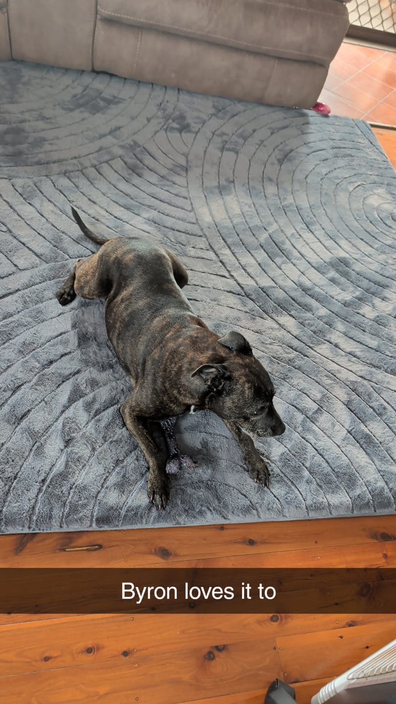 Customer photo review of Designer Relax Mat - 35mm Thick Foam Base