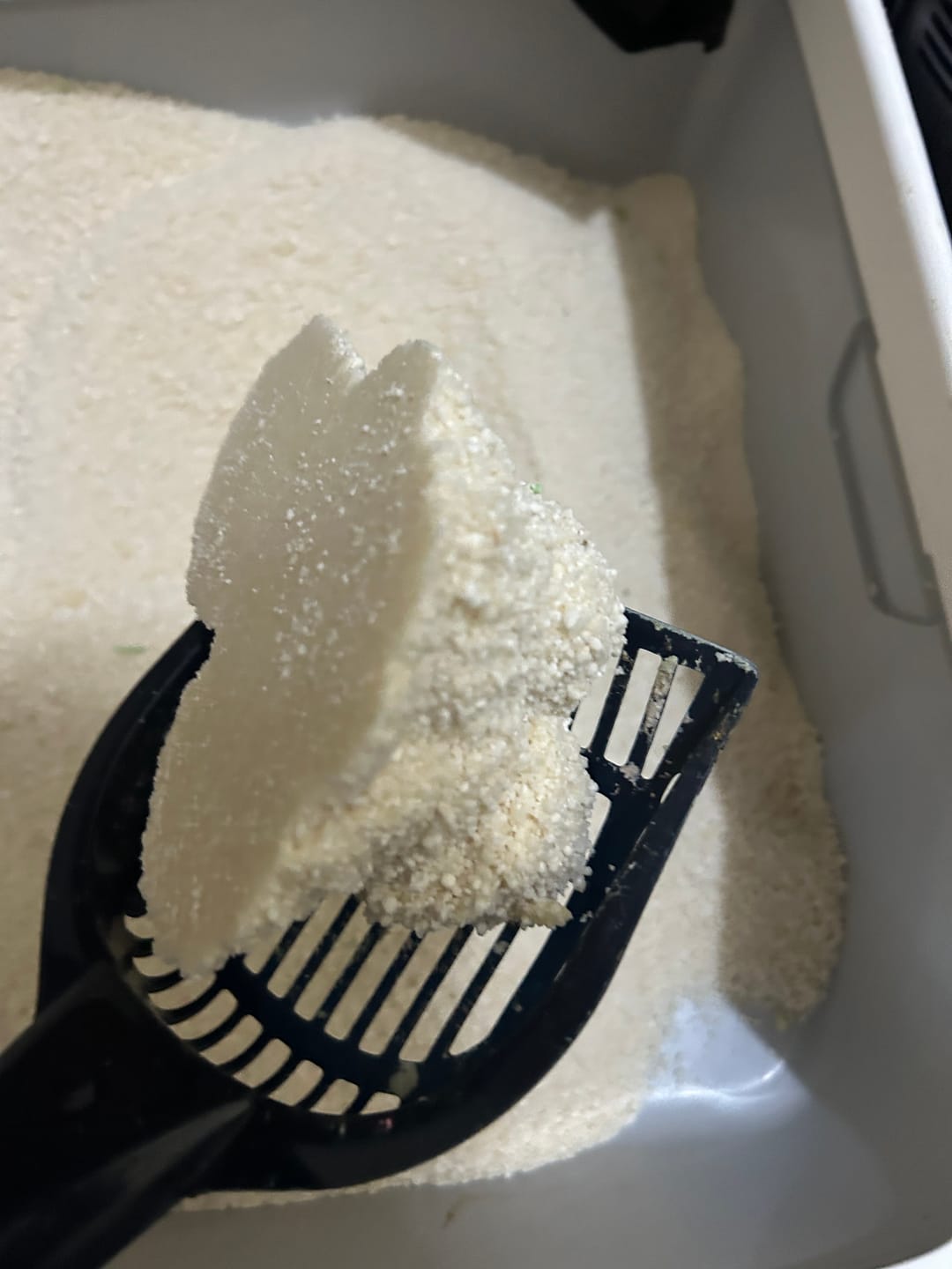 Customer photo review of Michu Wonder Litter - Plant-Based & Automatic-Box Friendly 2.5kg/6L