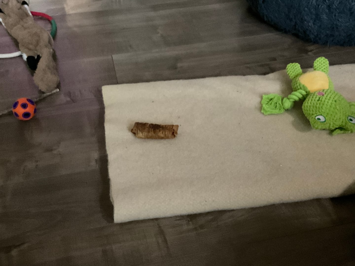 Customer photo review of 6 Inch Trachea Wrapped in Jerky