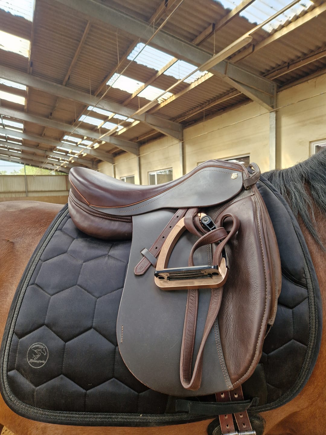 Customer photo review of Schabracke Comfort Line - Onyx Black