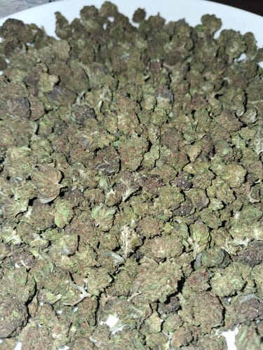 Strawberry Gelato Minis - Bulk Minis - Hybrid photo review
