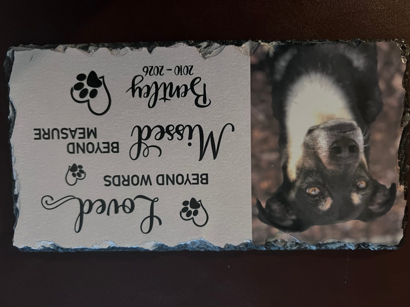 Customer photo review of Personalized Dog Memorial Plaque   Loved Beyond Words Missed Beyond Measure  Personalized Picture Keepsake