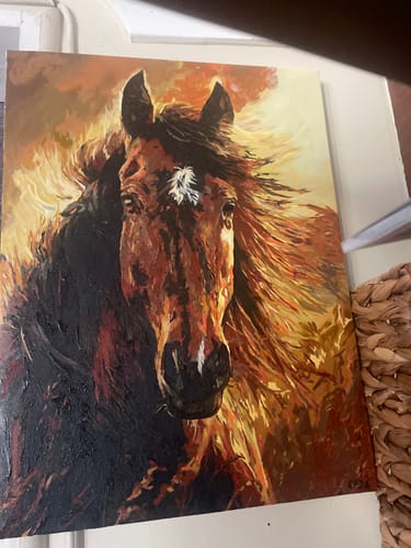 Customer photo review of Sunlit Stallion