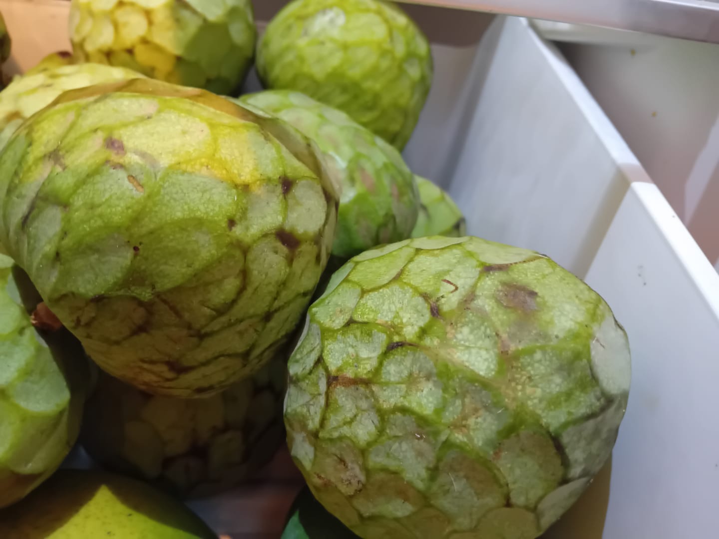 Customer photo review of Cherimoya Bio Hochernte-Retterbox Sonderaktion % 4kg