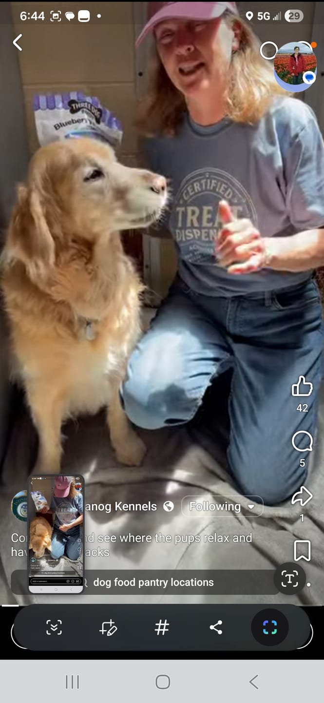 Customer photo review of Certified Treat Dispenser T-Shirt