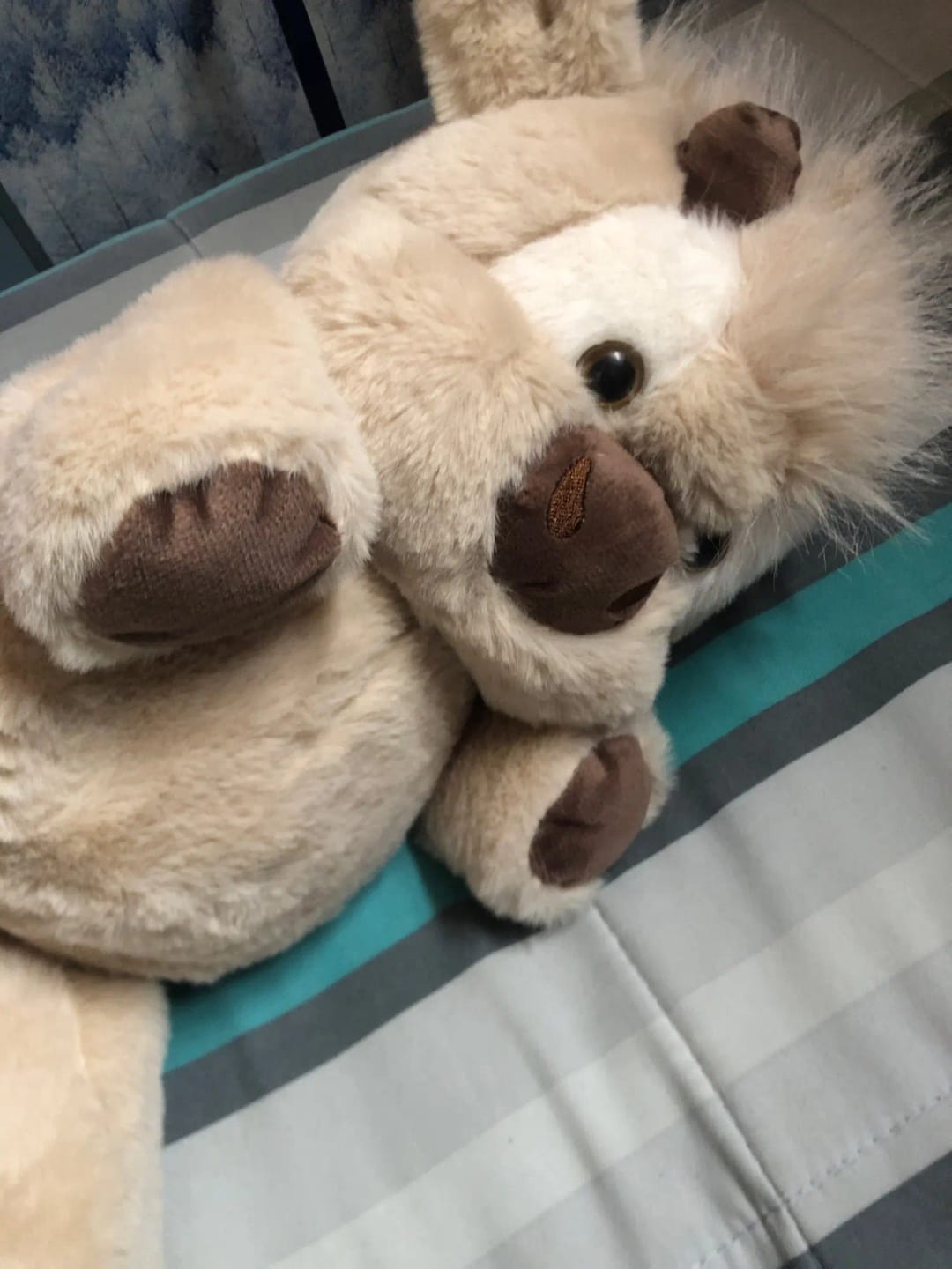 Customer photo review of Coco-Hug™ El peluche que corre