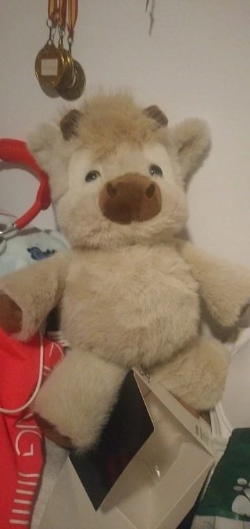 Customer photo review of Coco-Hug™ El peluche que corre