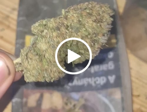 Customer video review of Gary Payton 31% THCA