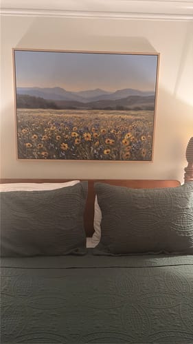 Customer photo review of Fields of Color Canvas Art
