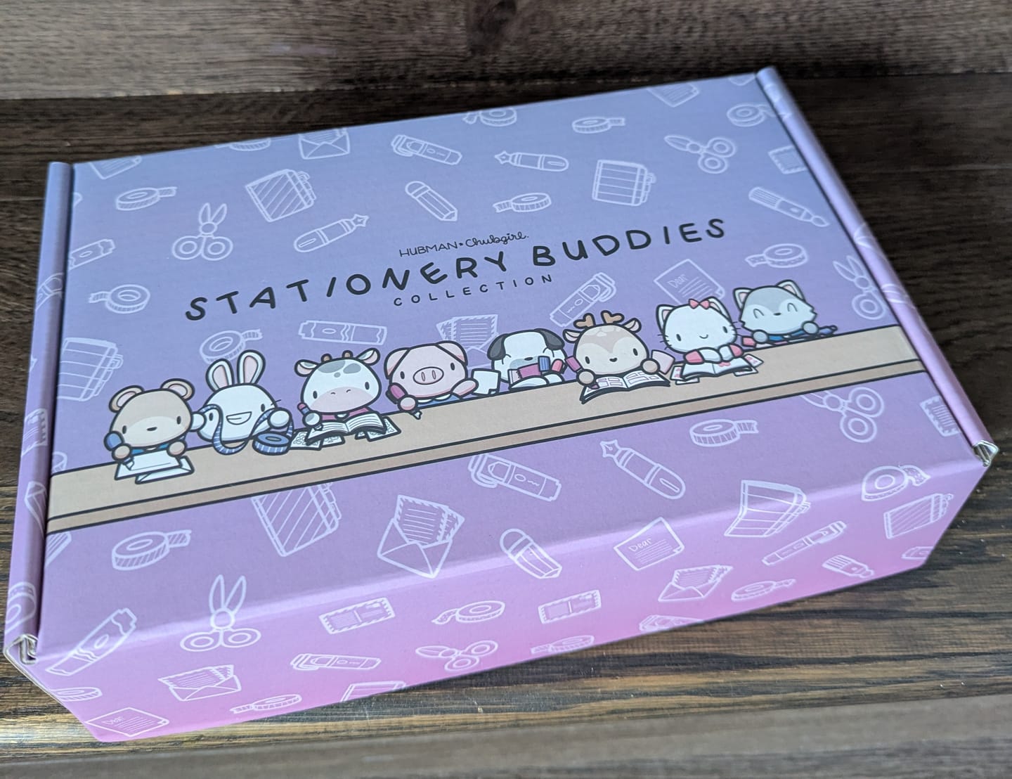 Customer photo review of Stationery Buddies Box Set