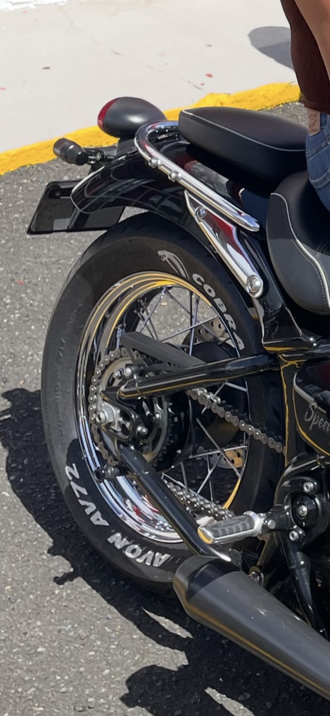 Customer photo review of Triumph Bobber Short Chain Guard - 2017+ - Brogue Moto
