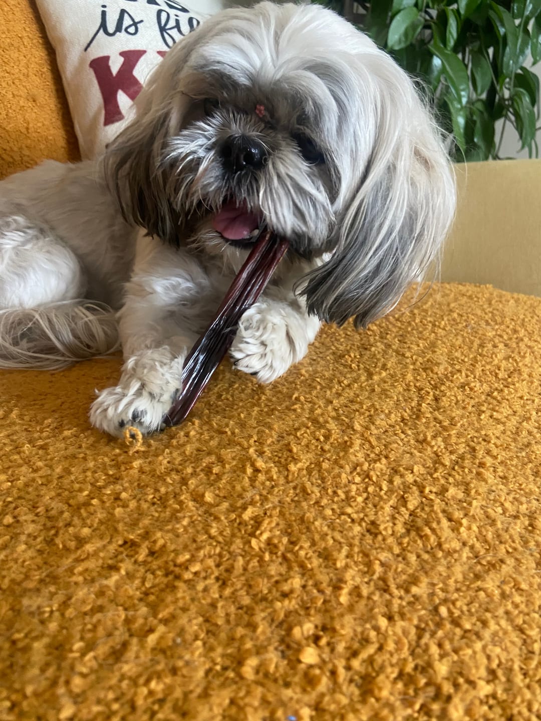Customer photo review of 6 Inch Beef Jerky Stick