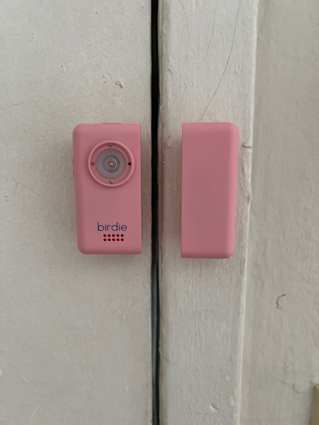Customer photo review of Birdie Box
