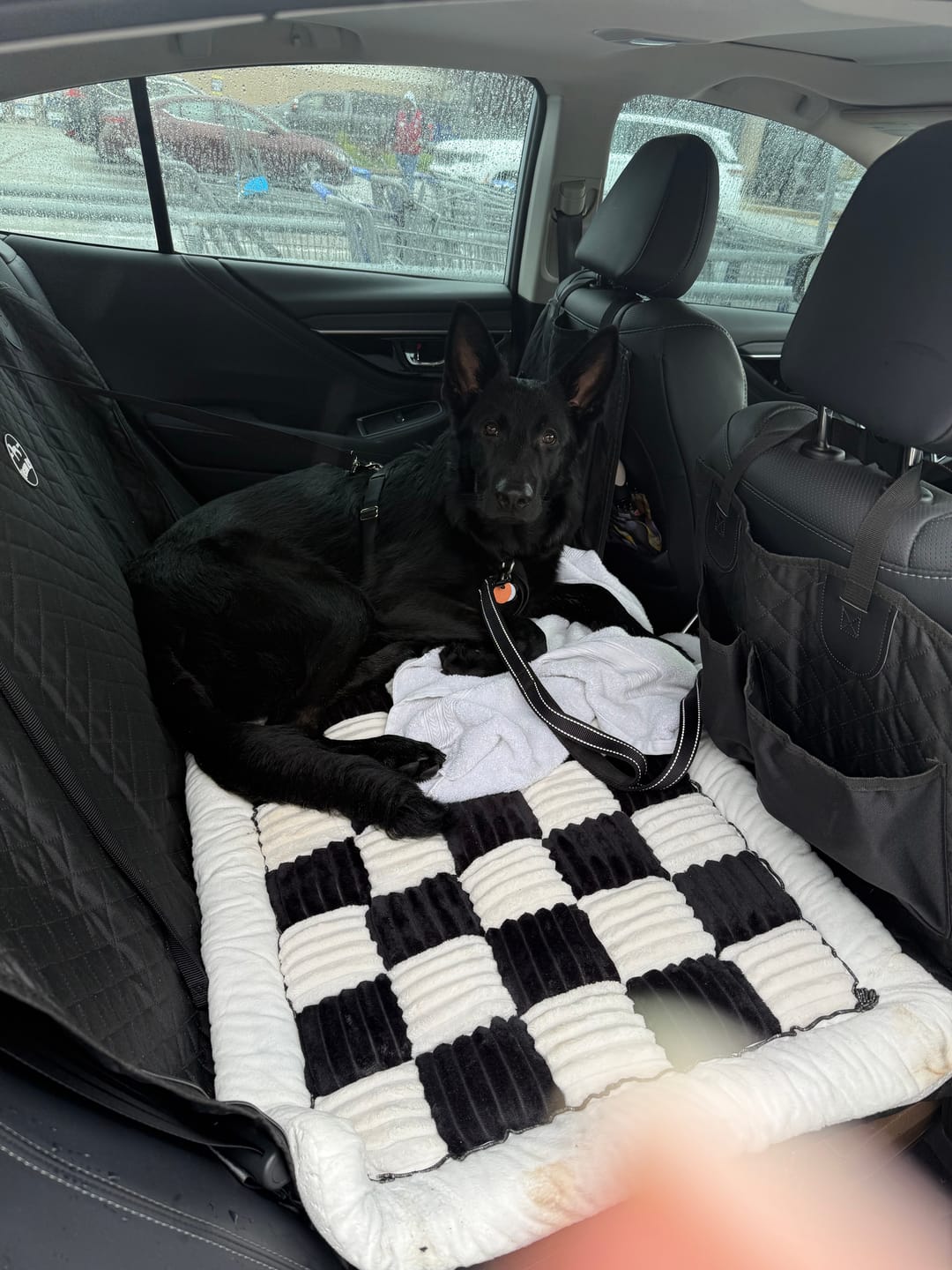 Customer photo review of NEW Waterproof Hard Bottom Car & Truck Seat Foldable Hammock Cover With Storage Pockets, Side Flaps, Headrest Straps, Seat Anchors, & Mesh Window (+FREE SAFETY BELT!)
