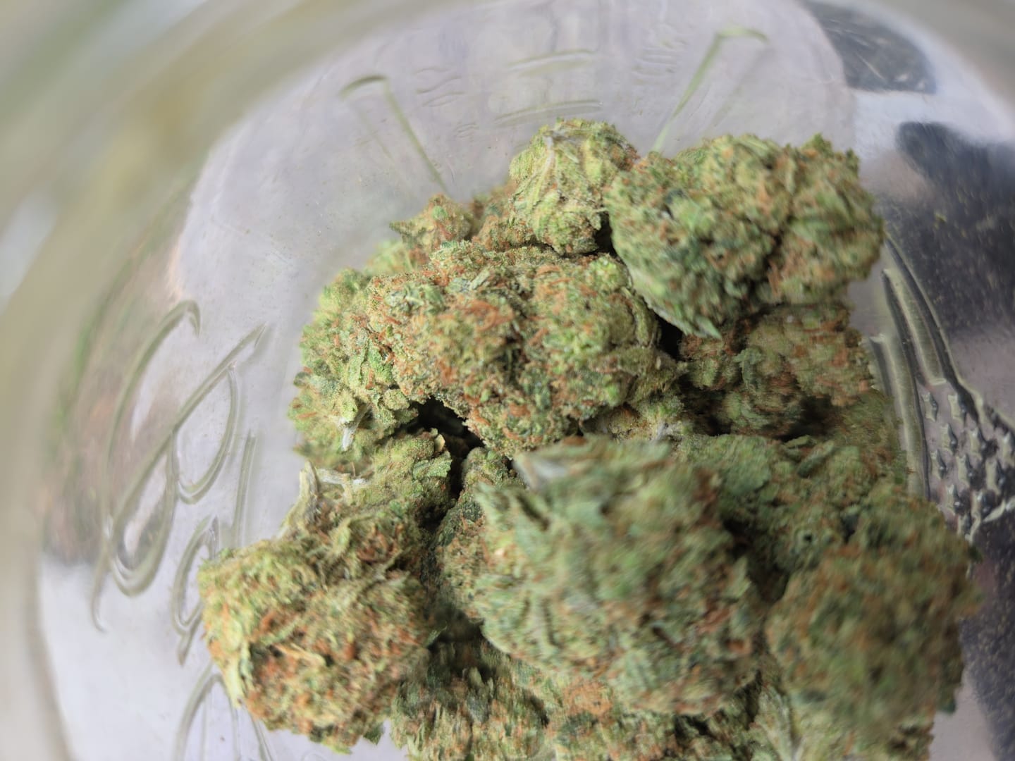 Customer photo review of Alien OG - Bulk - Indica