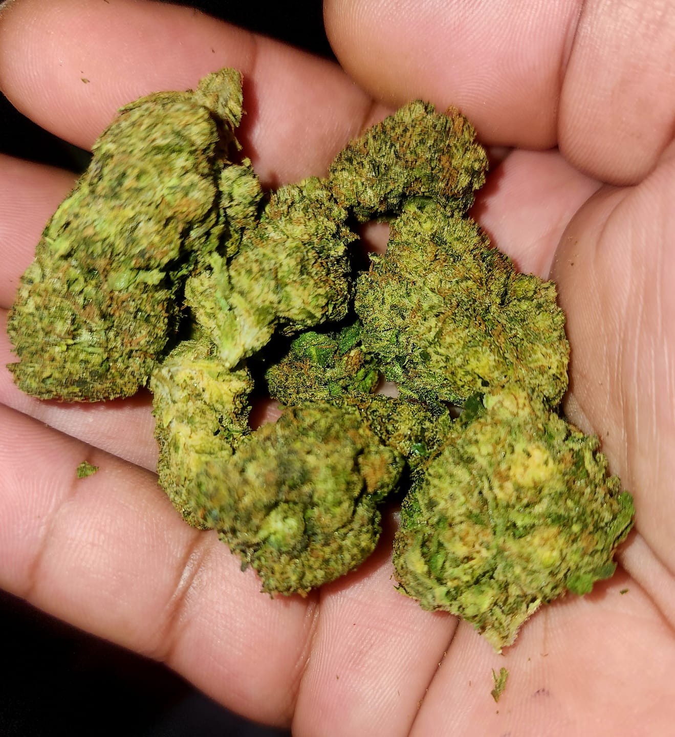 Customer photo review of Gelato Gas Light Assist THCA