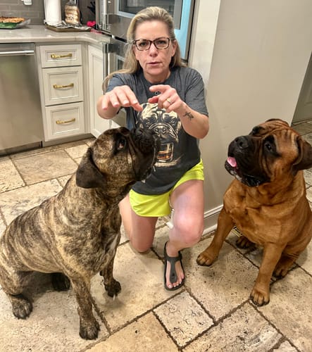Reviewer wearing the Whiskey Dog Bullmastiff Grunge T-Shirt while posing with two large bullmastiff dogs in a kitchen.