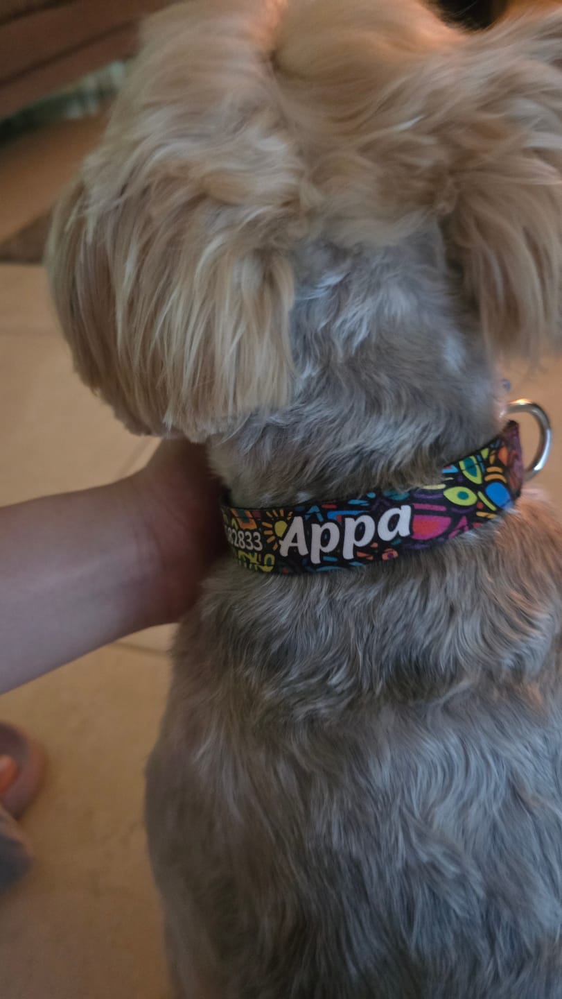 Customer photo review of Collar personalizado: Alebrije
