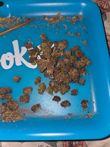 Granddaddy Purple - Minis - 28 Grams - Indica photo review