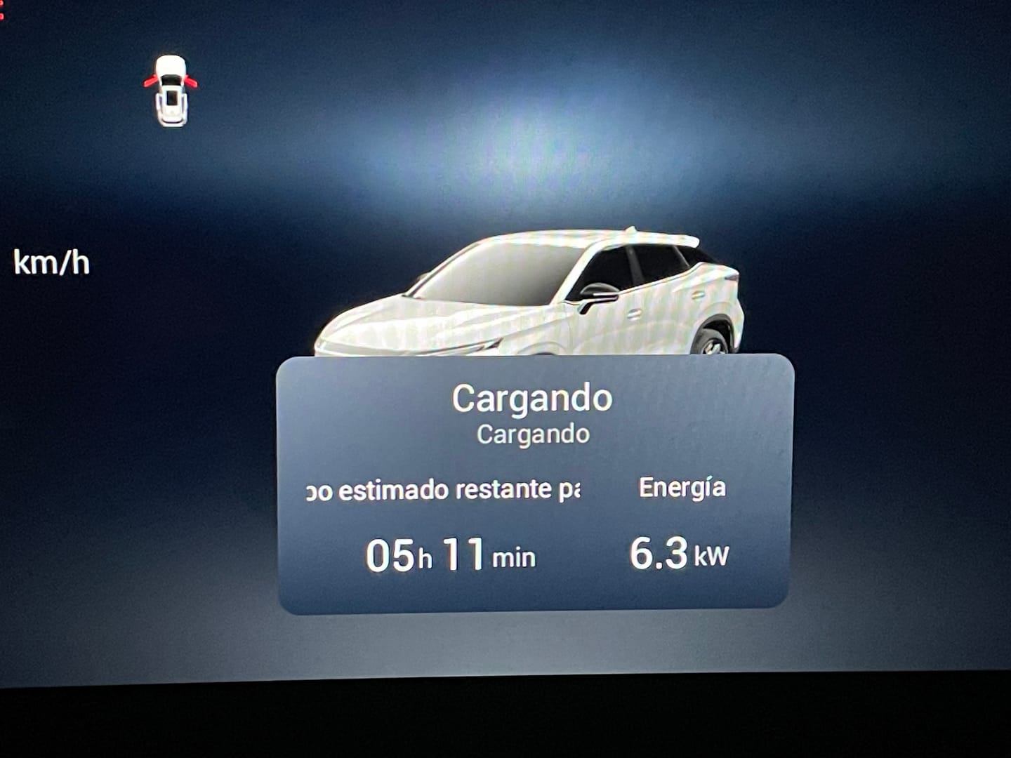 Customer photo review of Cargador Portátil 7 kW Tipo 2 — Para BYD, Chery, Geely y más