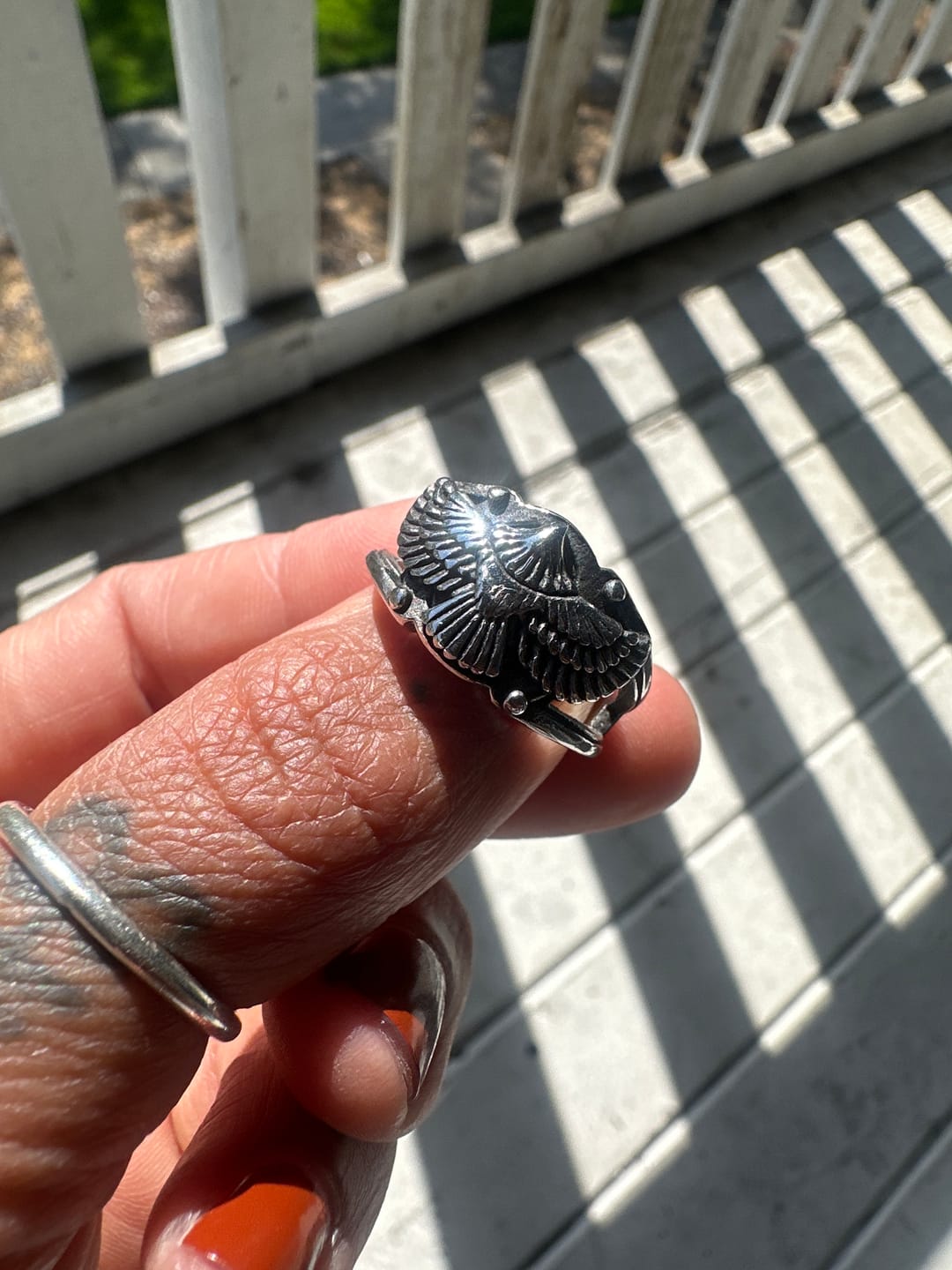 Customer photo review of Free As A Bird.