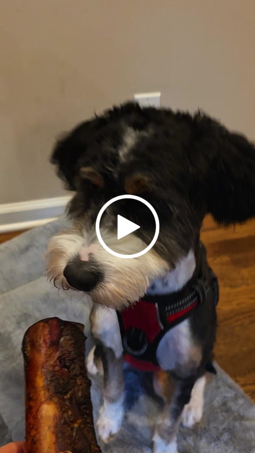 Customer video review of Smoked Beef Marrow Bone