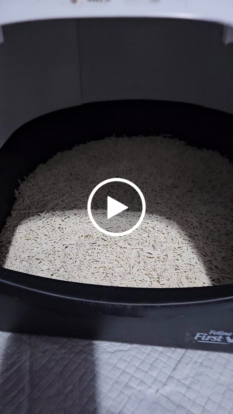 Customer video review of Michu Tofu Cat Litter Gen3 6L- Dust-Free and Natural Clumping Tofu-Based Formula for Easy Cleanup