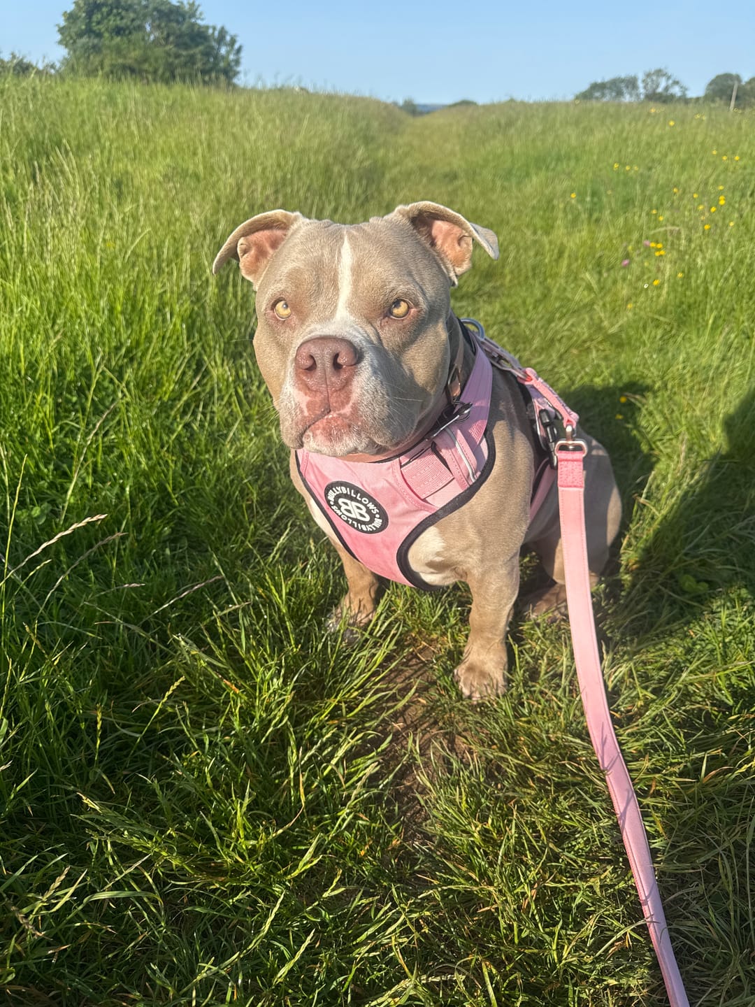 Customer photo review of 1.4m Lighter Swivel Combat Lead | Anti-Tangle & Secure Clip - Pink x Pink